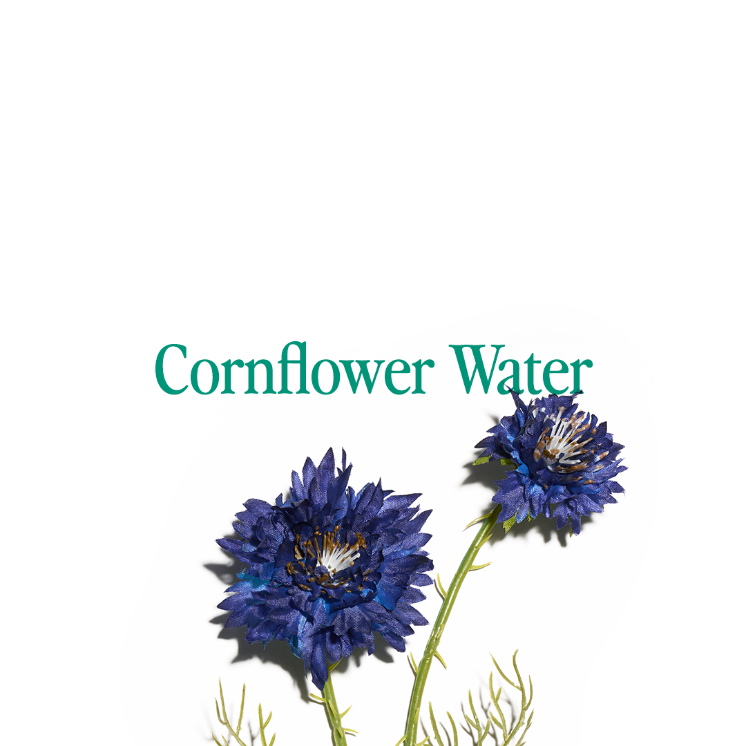 Ingredient Spotlight - Cornflower Water