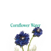 Ingredient Spotlight - Cornflower Water