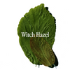 Ingredient Spotlight - Witch Hazel