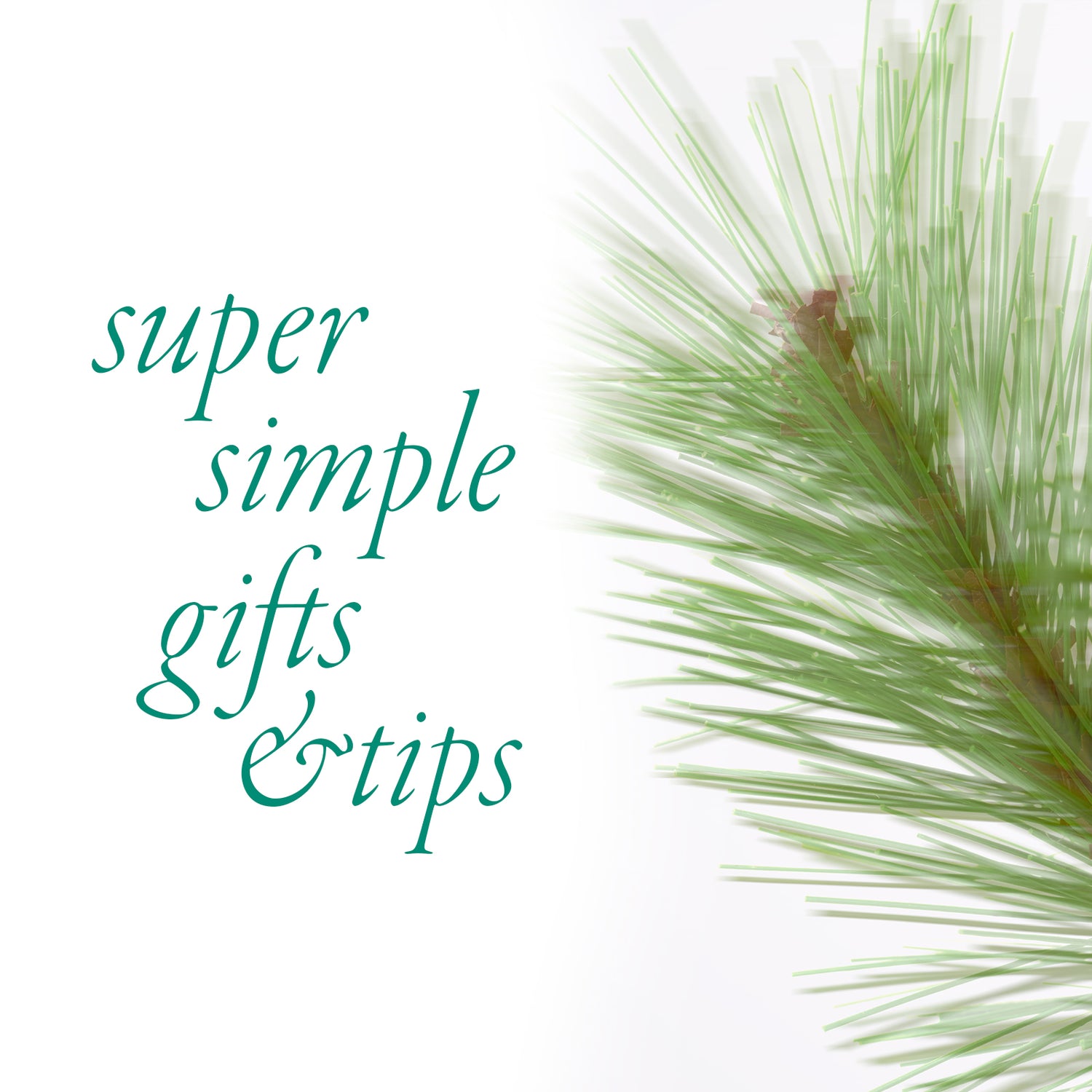 Super Simple Gifts and Tips for the Holidays